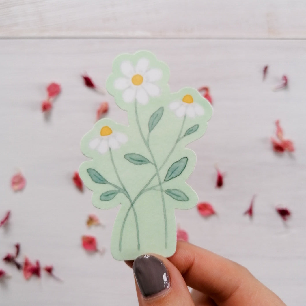A dainty and pretty hand illustrated sticker of three daisies on a pale green background.